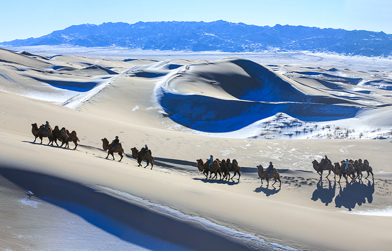 winter in gobi desert 